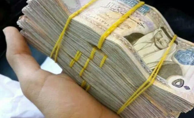 بما في ذلك ” الجضيع والرضيع ” حصة الفرد من الدين العام 3710 دينار