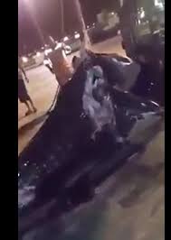 العقبة : اصطياد حوت ..فيديو
