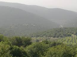 حداد : أمطار اليومين الماضيين أنقذت الموسم