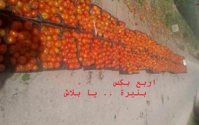 الشركات الزراعية .. أين هي ؟ من هموم الزراعة والمزارعين