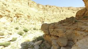 اصابة اربعينية سقطت عن مقطع صخري في وادي راجب