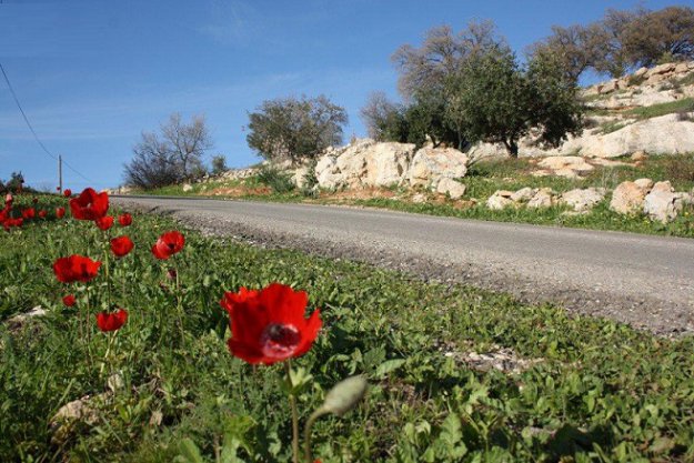 اجواء دافئة ومشمسة اليوم وغدا