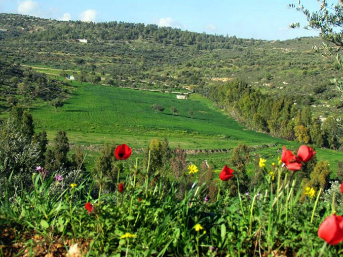 اجواء ربيعية اليوم وغدا