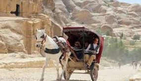 ائتلاف محلي ودولي للعناية بالحيوانات العاملة في البترا