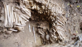 جدران من عظام وجماجم بشرية أسفل كاتدرائية في بلجيكا