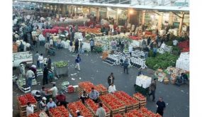 السوق المركزي بدأ باستقبال الخضار والفواكه
