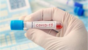 اربد : لليوم الثامن لا إصابات بكورونا