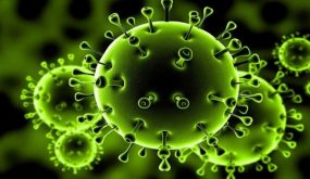 اربد : لليوم الثامن على التوالي لا إصابات بكورونا