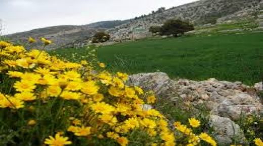 أجواء ربيعية بوجه عام وحارة نسبيا في الأغوار والبحر الميت