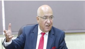 وزير التنمية السياسية يُحمل المجتمع مسؤولية ضعف انتشار الأحزاب