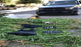 حملة لمكافحة المخدرات تسفر عن ضبط ٧ مروجين بينهم اثنان بزراعة الماريجوانا