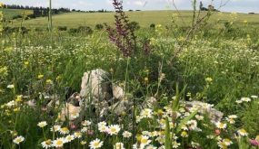 اجواء صيفية عادية اليوم وارتفاع طفيف غداً