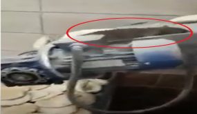 بالفيديو ..جرذ ضخم يتأكد من سلامة الخبز بأحد المخابز