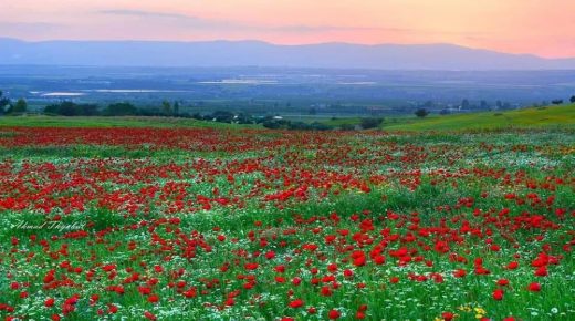 أجواء ربيعية معتدلة في أغلب المناطق اليوم وحارة غدًا