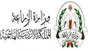 الزراعة ترصد مجموعات متقطعة من الجراد جنوبي عمان