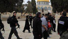 122 مستوطنا متطرفا يقتحمون الاقصى بحراسة شرطة الاحتلال