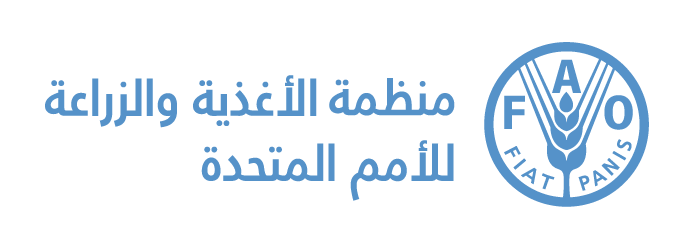 الفاو: دورة تدريبية حول حالة الإدارة المتكاملة لحرائق الغابات في الأردن