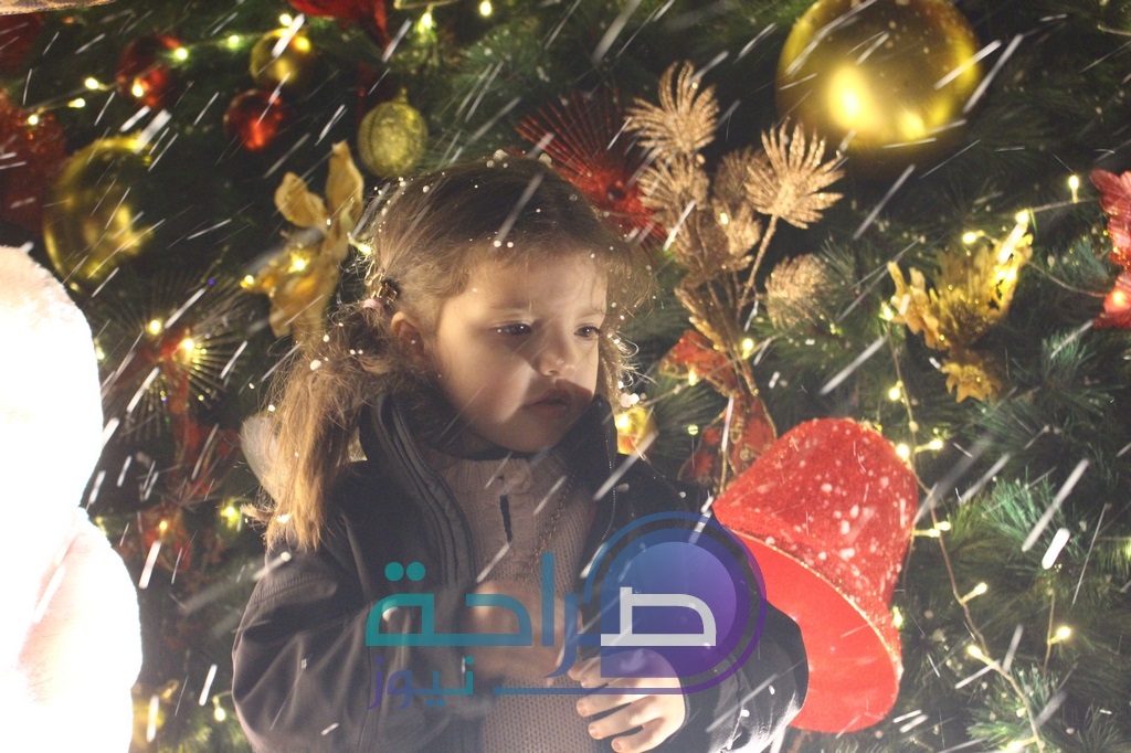 إيجل هيلز الاردن تضيء شجرة عيد الميلاد