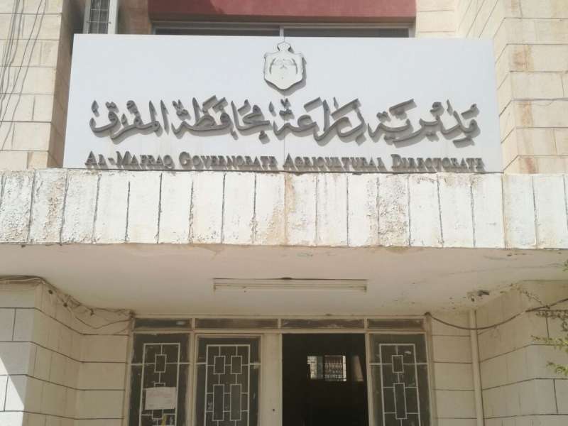 زراعة المفرق تشكل غرفة طوارئ لمتابعة أحوال المزارعين