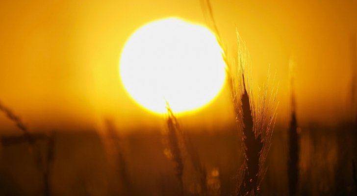 طقس معتدل بالمرتفعات اليوم وانخفاض ملموس غدًا