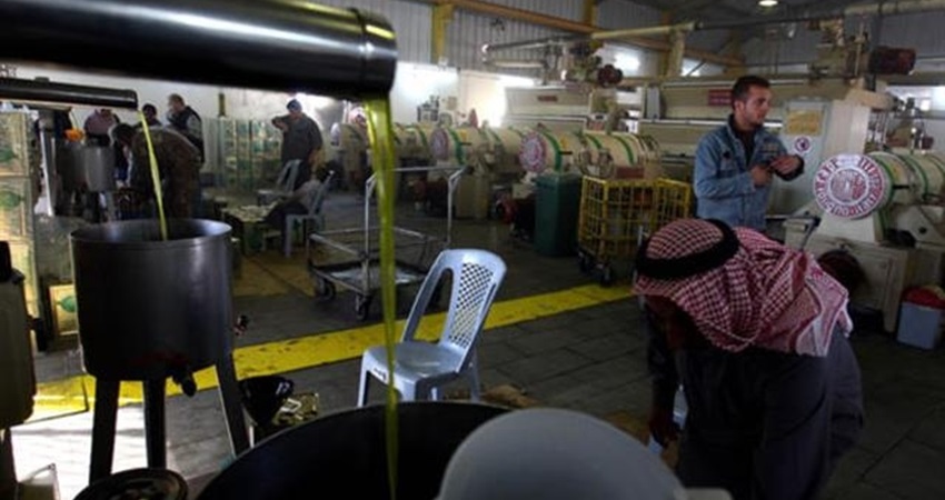 جولات للبيئة على معاصر الزيتون