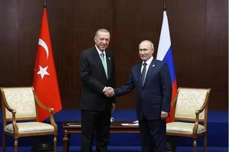 أردوغان وبوتين يبحثان هاتفيا الوضع بشأن اتفاق الحبوب